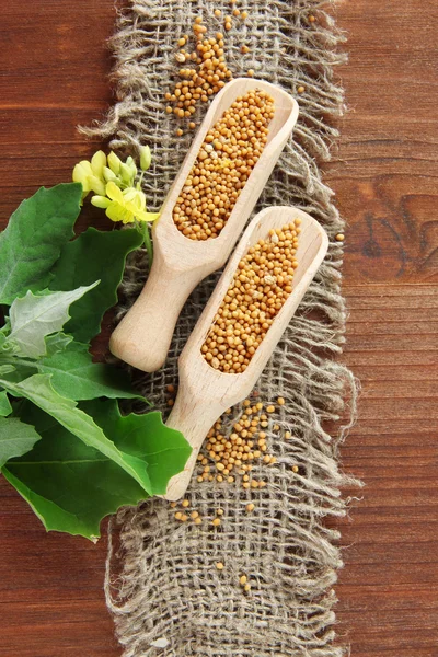 Semi di senape con fiore di senape su sfondo di legno — Foto Stock