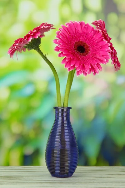 美丽的粉色非洲菊花卉在木桌子上的花瓶 — 图库照片