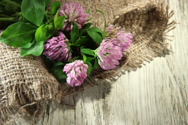 Clover blommor med blad på trä bakgrund — Stockfoto