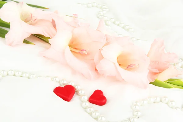 白い布の背景に美しいグラジオラス花 — ストック写真