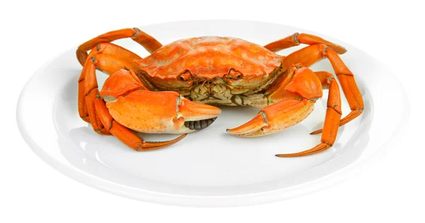 Crabe bouilli sur plaque blanche, isolé sur blanc — Photo