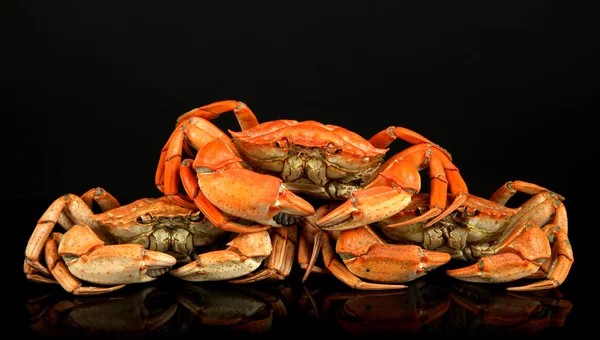 Crabes bouillis isolés sur noir — Photo