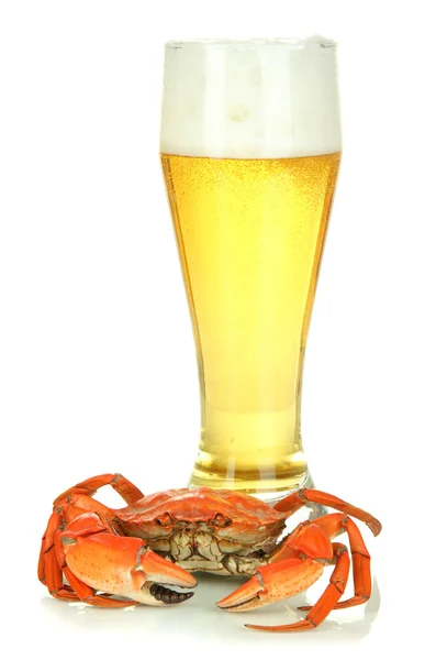 Gekookte krab en bier, geïsoleerd op wit — Stockfoto