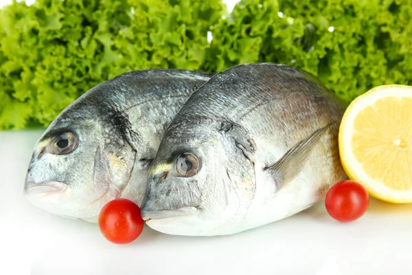 Pesce dorado isolato su bianco — Foto Stock