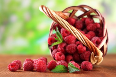 Ripe sweet raspberries in basket on wooden table, on green background clipart