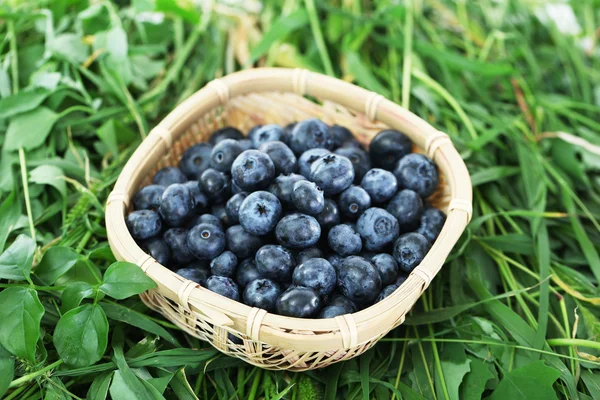 Bleuets dans un panier en bois sur herbe — Photo