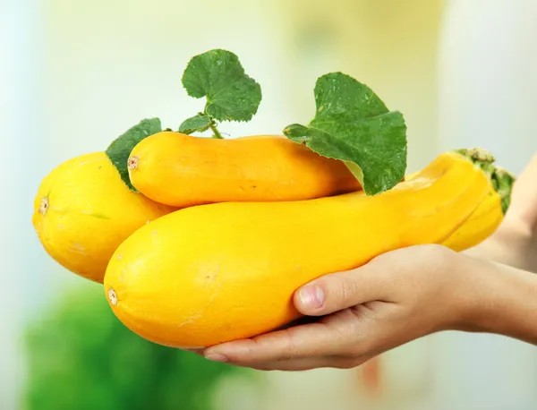 Vrouw hand met ruwe courgette, buitenshuis — Stockfoto