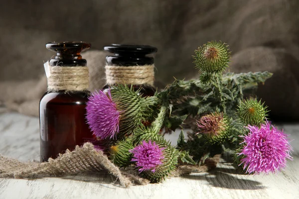 Medicine bottles with thistle flowers — Stock Photo, Image