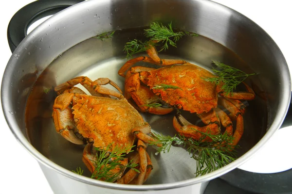 Composition with boiled crabs, pan and vegetables isolated on white — Stock Photo, Image