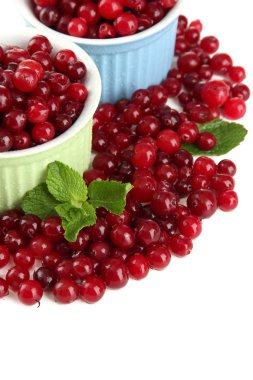 Olgun kırmızı cranberries Whit üzerinde izole kase,