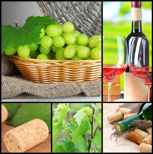 Collage of wine compositions and grapes — Stock Photo, Image