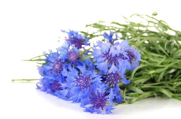 Hermoso ramo de flores, aislado en blanco — Stockfoto