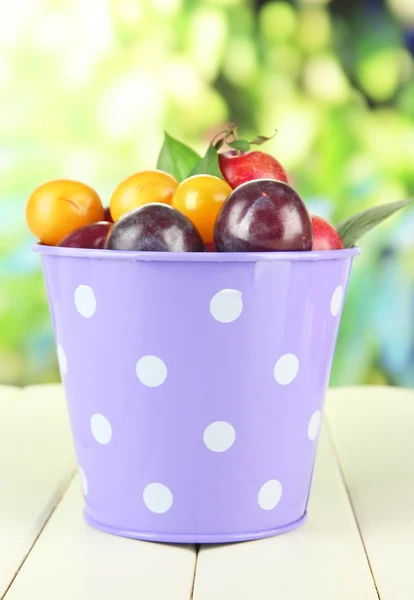 Ripe plums in pail on wooden table on natural background — Stock Photo, Image