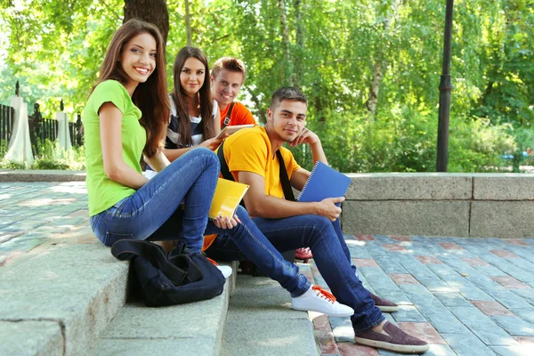 Šťastný skupina mladých studentů, sedět v parku — Stock fotografie