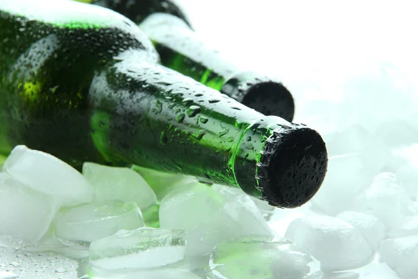Üveg sör, jégkocka, közelről — Stock Fotó