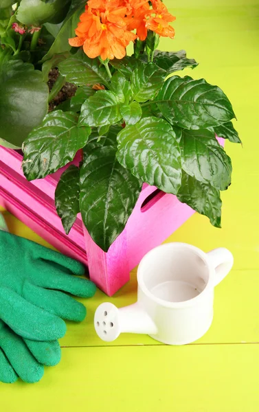 Hermosas flores en macetas en la mesa de madera de cerca —  Fotos de Stock