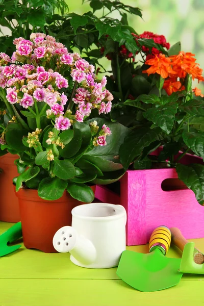 Mooie bloemen in potten op houten tafel op natuurlijke achtergrond — Stockfoto