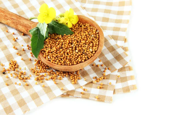 Mustard seeds in wooden spoon with mustard flower isolated on white — Stock Photo, Image