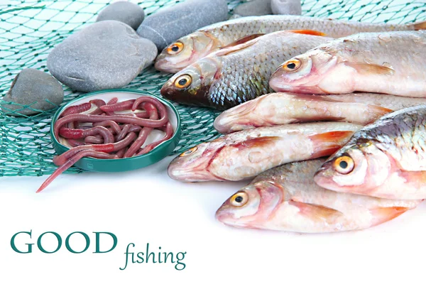 Peces y red aislados en blanco — Foto de Stock