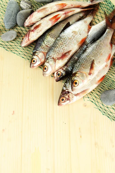 Fishes on fishing net on wooden background — Stock Photo, Image