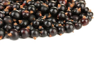 Beyazda siyah frenk üzümü