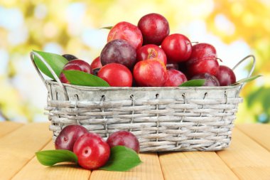 Olgun erikler sepetin içinde, tahta masanın üstünde, doğal arka planda.