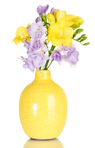 Beautiful bouquet of freesias in vase, isolated on white — Stock Photo, Image