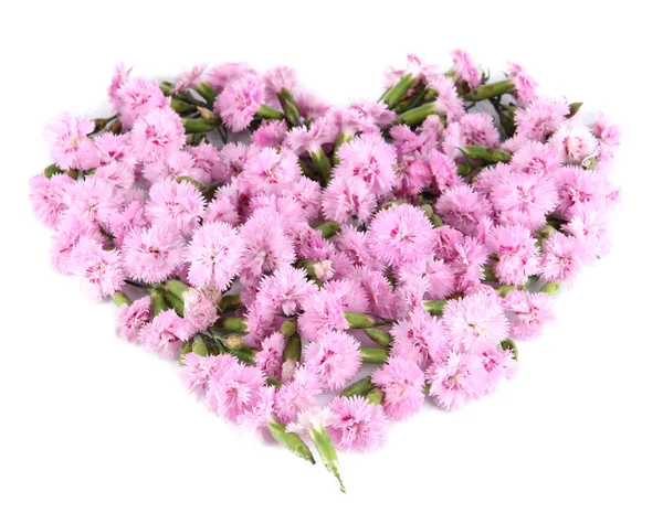 Corazón de pequeños clavos rosados aislados en blanco — Foto de Stock