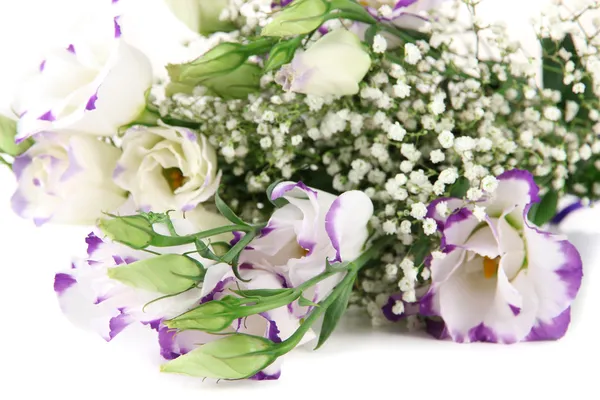 Strauß Eustoma-Blüten isoliert auf weiß — Stockfoto