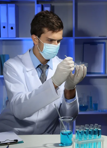Young laboratory scientist working at lab — Stock Photo, Image