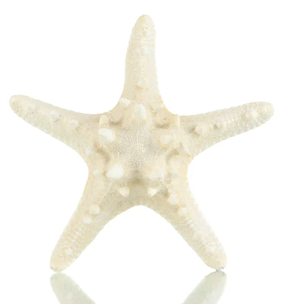 White starfish isolated on white — Stock Photo, Image