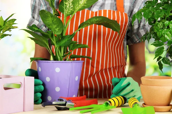 Transplantation blommor i krukor närbild — Stockfoto