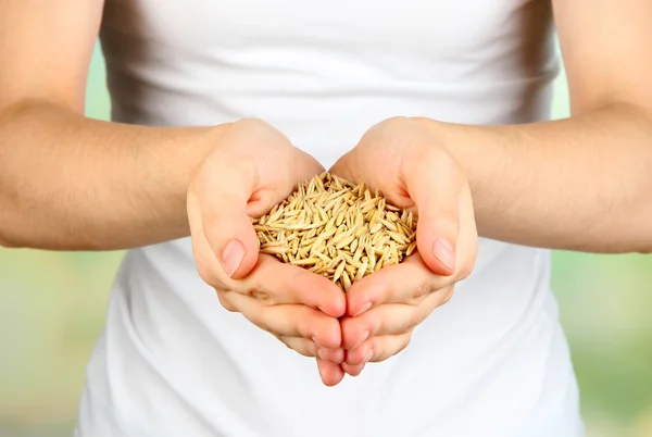 Grano de trigo en manos femeninas sobre fondo natural —  Fotos de Stock