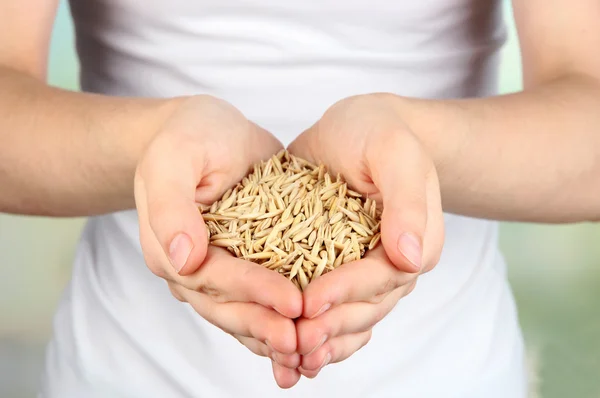 Wheat grain in female hands on natural background — Stock Photo, Image