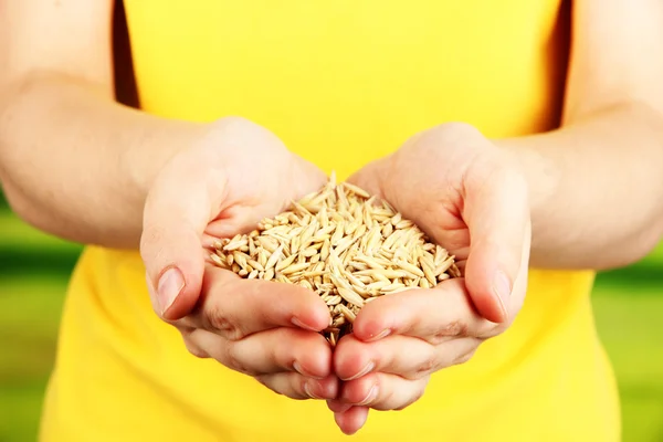 Grano de trigo en manos femeninas sobre fondo natural —  Fotos de Stock