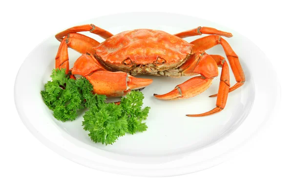 Crabe bouilli sur plaque blanche, isolé sur blanc — Photo