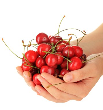 elinde beyaz izole kiraz meyveleri