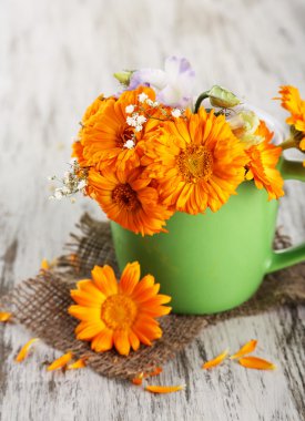 Calendula çiçek Kupası ahşap zemin üzerinde