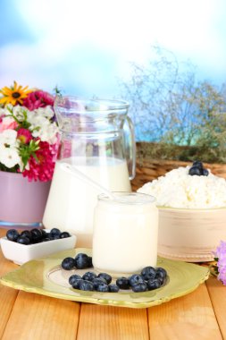 ahşap masa yakın çekim üzerinde blueberry ile taze süt ürünleri