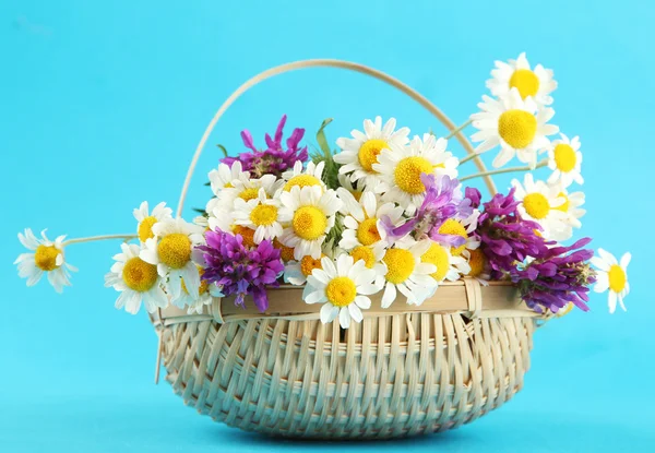 Belles fleurs sauvages dans le panier, sur fond bleu — Photo