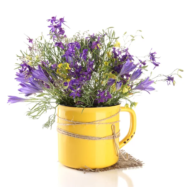 Mooi boeket van wilde bloemen in cup geïsoleerd op wit — Stockfoto