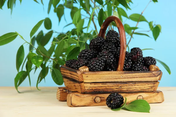 Olgun böğürtlen sepeti doğal zemin üzerine ahşap tablo