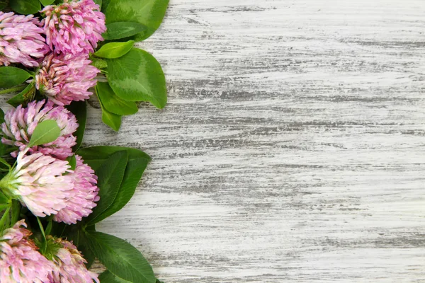 Clover flowers on wooden background — Stock Photo, Image