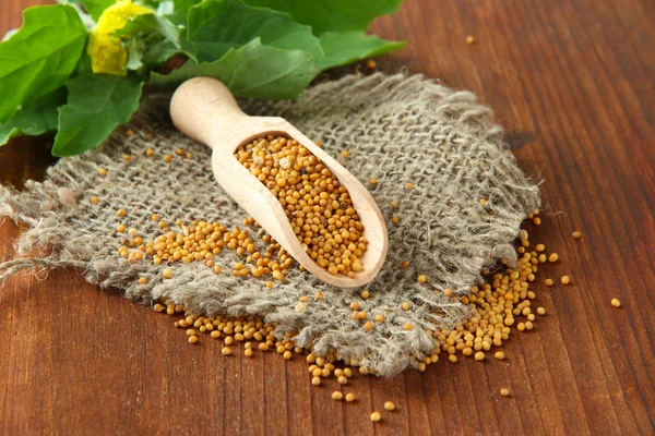 Mustard seeds with mustard flower on wooden background — Stock Photo, Image