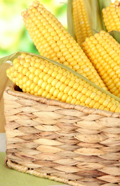 Milhos brutos em cesta no fundo da natureza — Fotografia de Stock