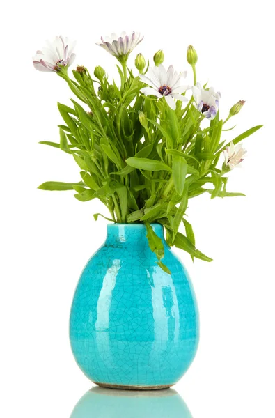 Bouquet di bellissimi fiori estivi in vaso di colore, isolato su bianco — Foto Stock
