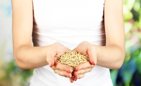 Grano de trigo en manos femeninas sobre fondo natural — Foto de Stock