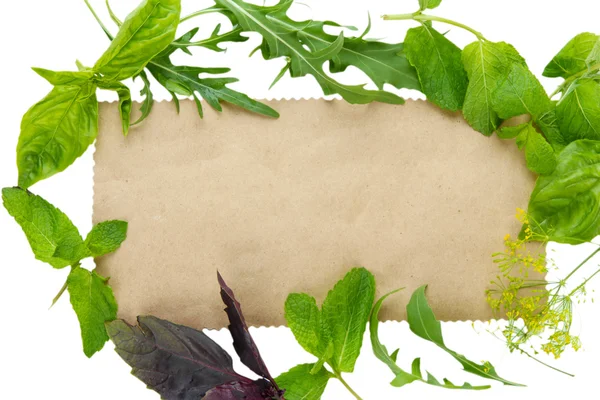 Old brown paper with fresh herbs, isolated on white — Stock Photo, Image