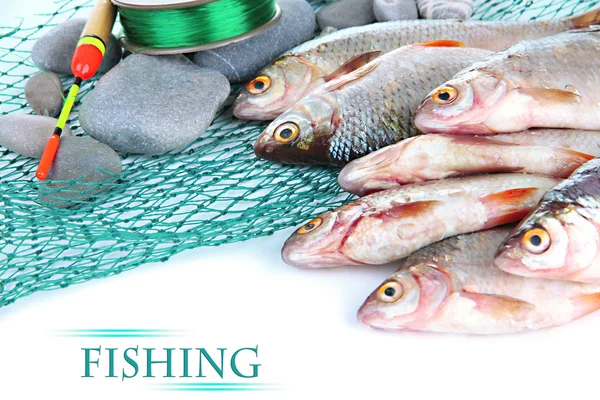 Fische und Fischereiwerkzeuge isoliert auf weiß — Stockfoto