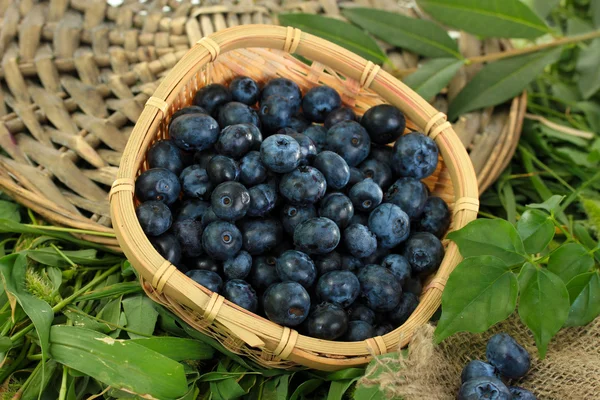 Blueberries in wooden basket on wicker tray on grass — Stock Photo, Image